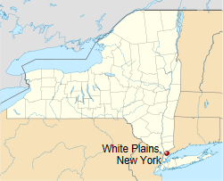 International Shipping from White Plains, New York USA