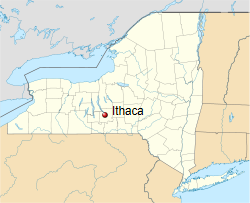 International Shipping from Ithaca, New York USA