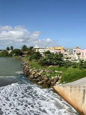 International Shipping from Arecibo, Puerto Rico